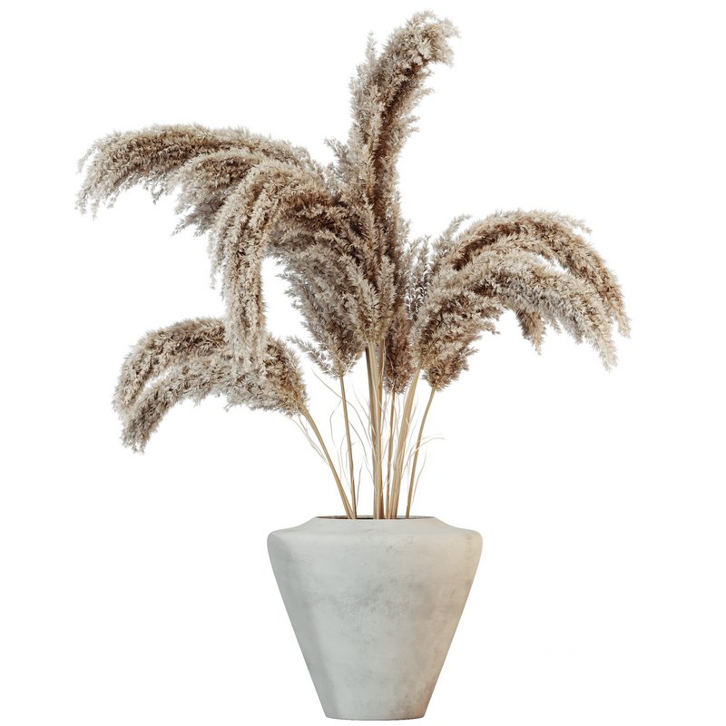 HQ HousePlants Decorative Miscanthus Pampas Dried Branches Pampy Image 2