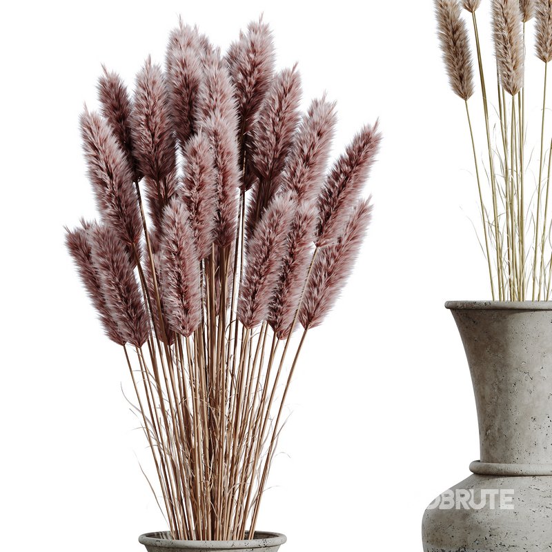 HQ HousePlants Decorative Stoilan Pampas Dried Branches Pampy05 Image 3