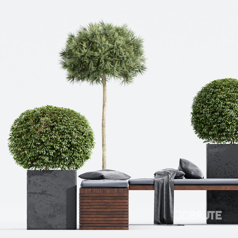 Outdoor Plants Pot Facilities Bench Image 3