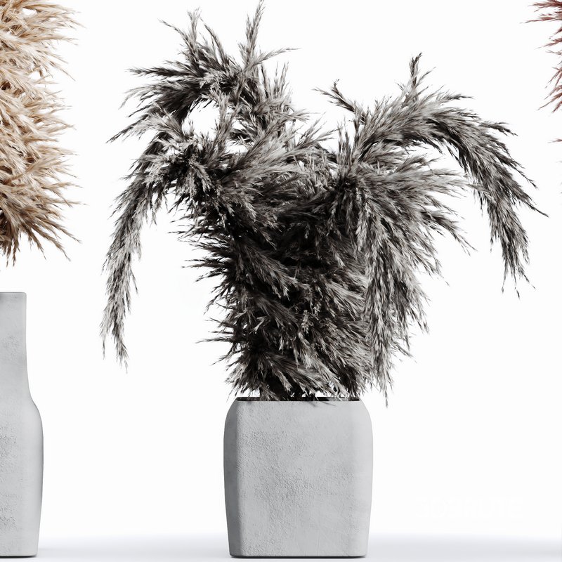 HQ HousePlants Decorative Stoilan Pampas Dried Branches Pampy04 Image 2