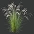 HQ Plants European Feather Stipa Pennata Grass - Thumbnail 3