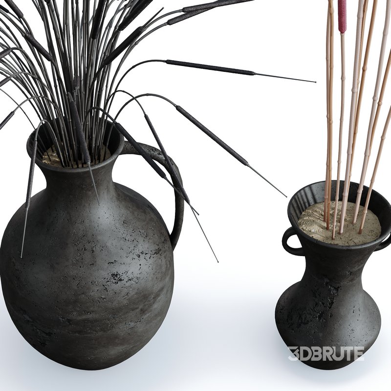 HQ HousePlants Decorative Stoilan Pampas Dried Branches Pampy Image 2