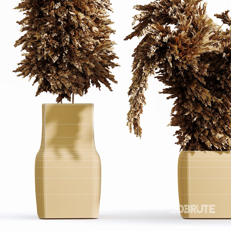 HQ HousePlants Decorative Stoilan Pampas Dried Branches Pampy04 Image 3