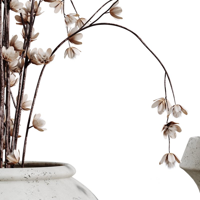 HQ HousePlants Decorative Iliyan Pampas Dried Branches Pampy Image 2