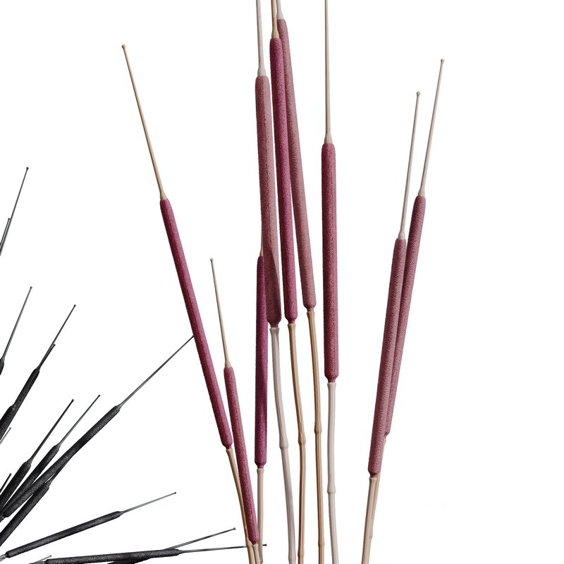 HQ HousePlants Decorative Stoilan Pampas Dried Branches Pampy Image 4