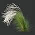 HQ Plants European Feather Stipa Pennata Grass - Thumbnail 2