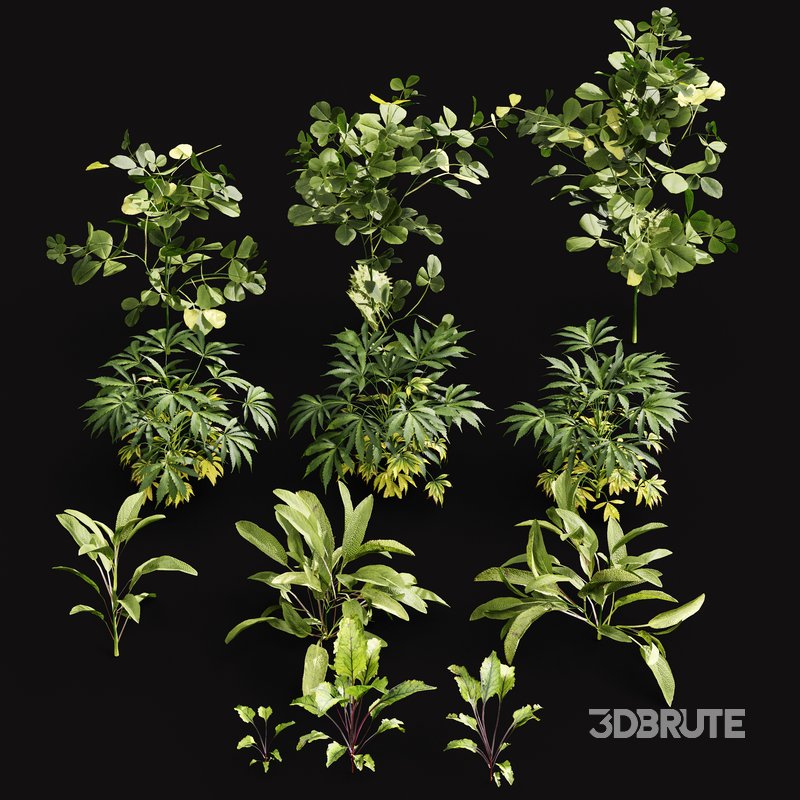 Meadow Lawn Grassland Set 004 Image 3