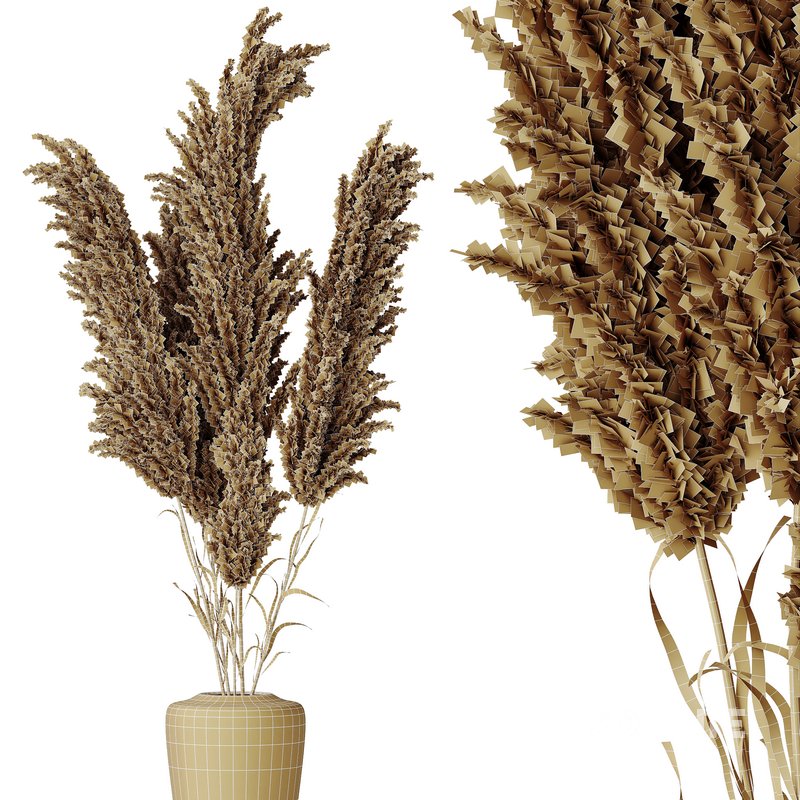 HQ HousePlants Decorative Miscanthus Pampas Dried Branches Pampy Image 4