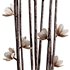 HQ HousePlants Decorative Iliyan Pampas Dried Branches Pampy - Thumbnail 4