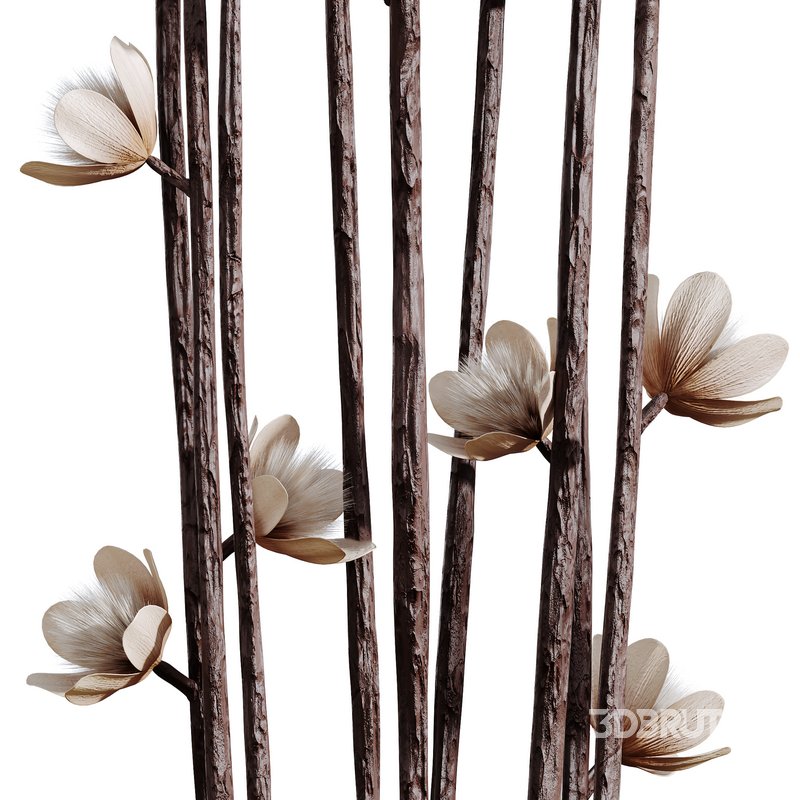 HQ HousePlants Decorative Iliyan Pampas Dried Branches Pampy Image 4