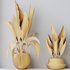 HQ HousePlants Ravenala Banana Strelitzia Nicolai Bird Of Paradise Set05 - Thumbnail 4