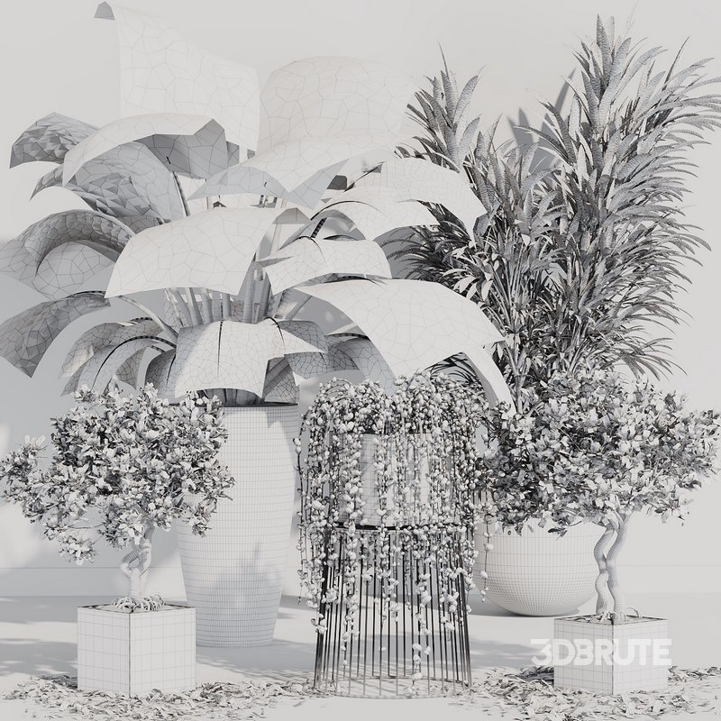 INDOOR PLANT SET 07 Image 4