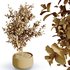 HQ HousePlants Beech Olea Europaea Olive Eucalyptu Joyplants Mini Fig - Thumbnail 5