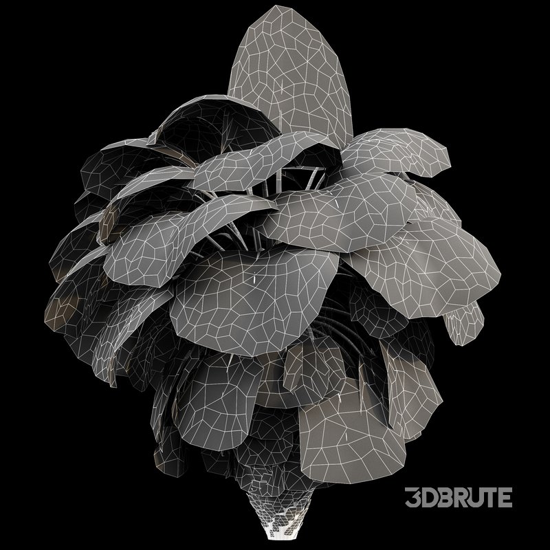 Mexican Fan Palm Washingtonia Robusta 9 trees Image 4