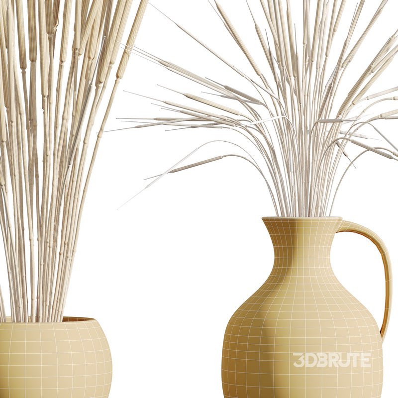 HQ HousePlants Decorative Stoilan Pampas Dried Branches Pampy Image 5