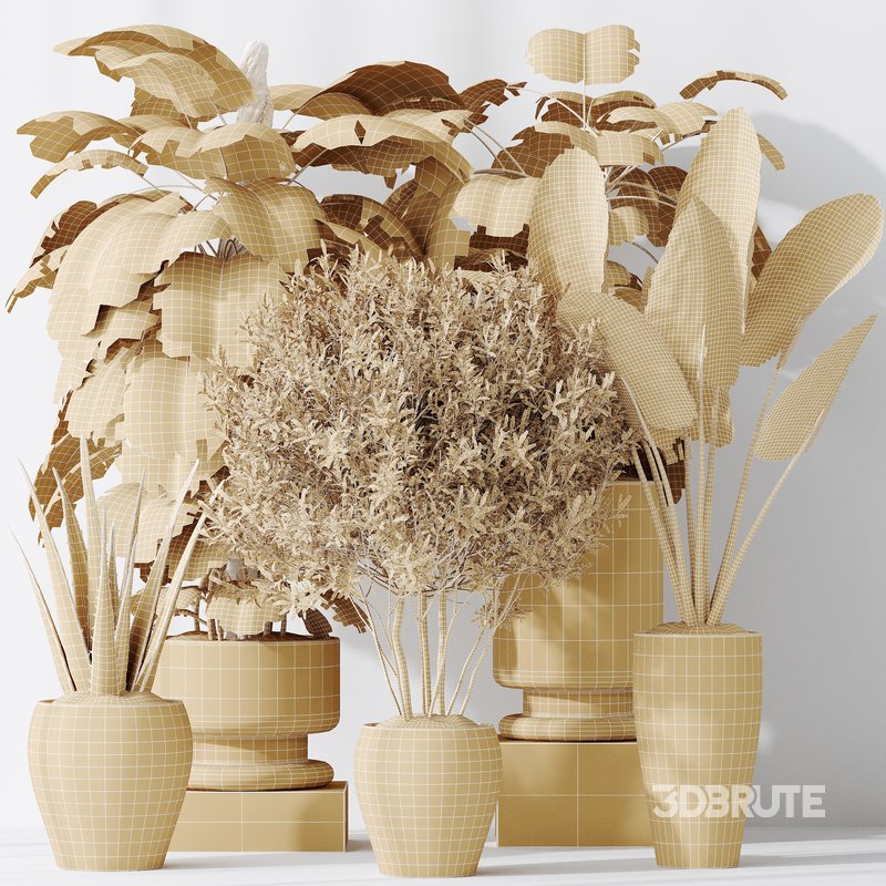 Indoor plants set 102 Large Leaf Form Swiss Cheese Image 2