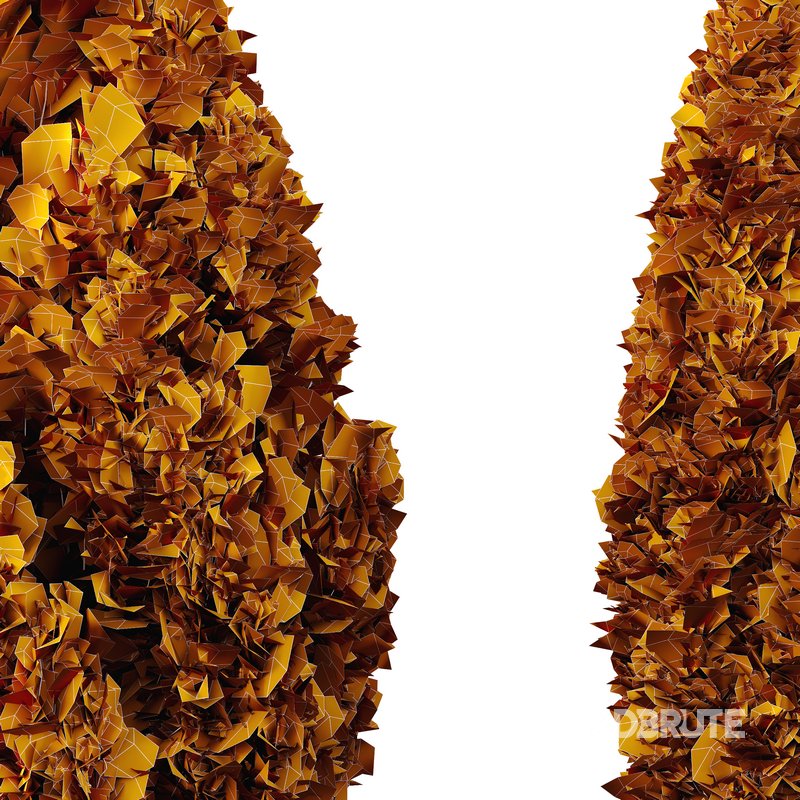 Catalpa Bignonioides Nana Indian Bean and Rocky Mountain Juniper Image 5