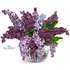 lilac bouquet - Thumbnail 2