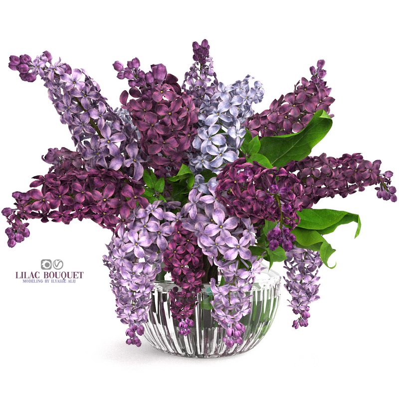 lilac bouquet Image 2