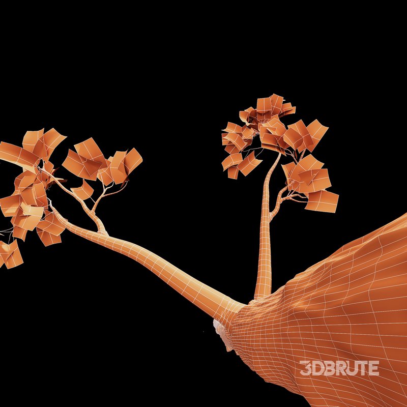 spring trees Acer Pseudoplatanus and Alnus Glutinosa Image 10