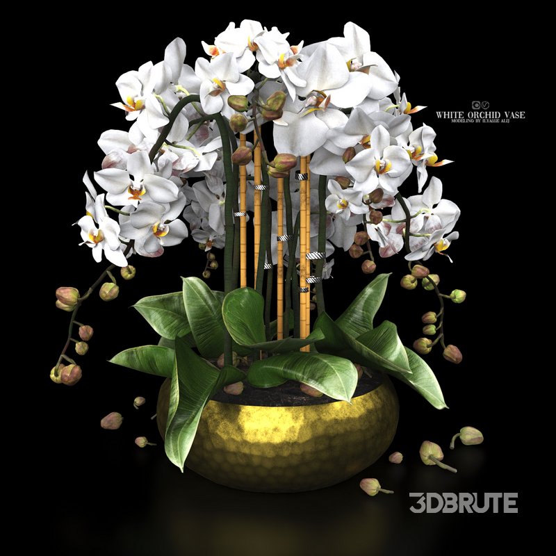 white orchid vase Image 1