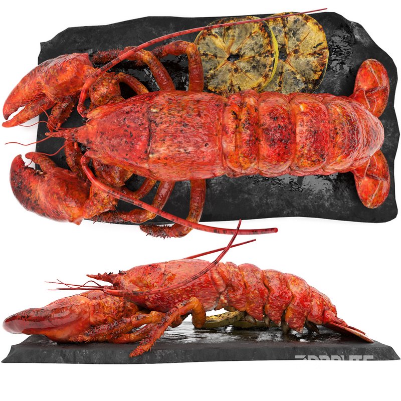 lobster set Image 2