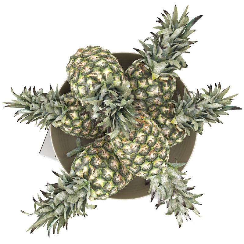 bowl of pineapples Image 2