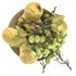 bowl of pears and grapes - Thumbnail 1