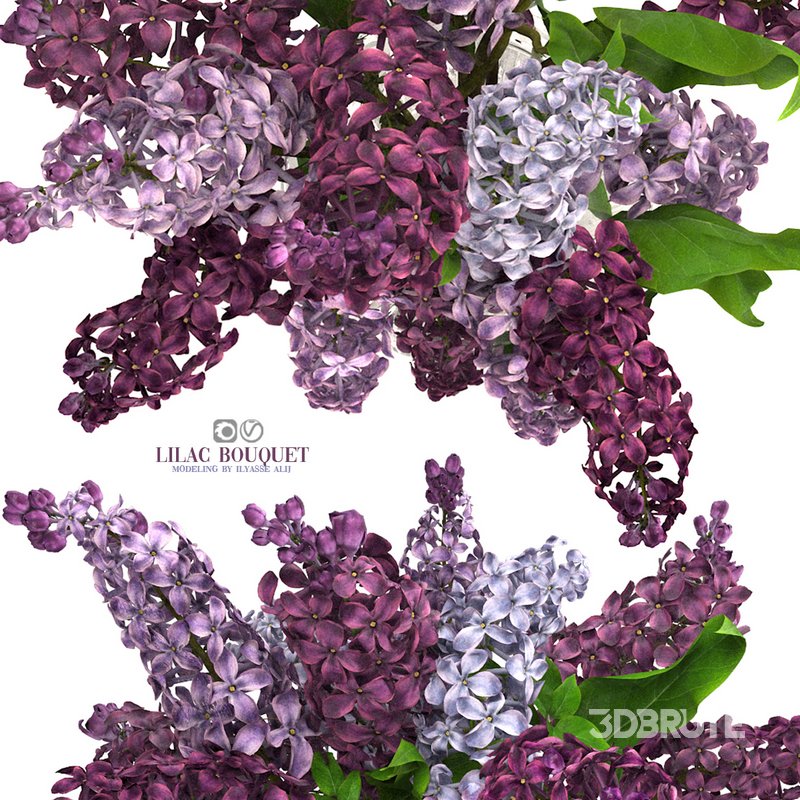 lilac bouquet Image 1