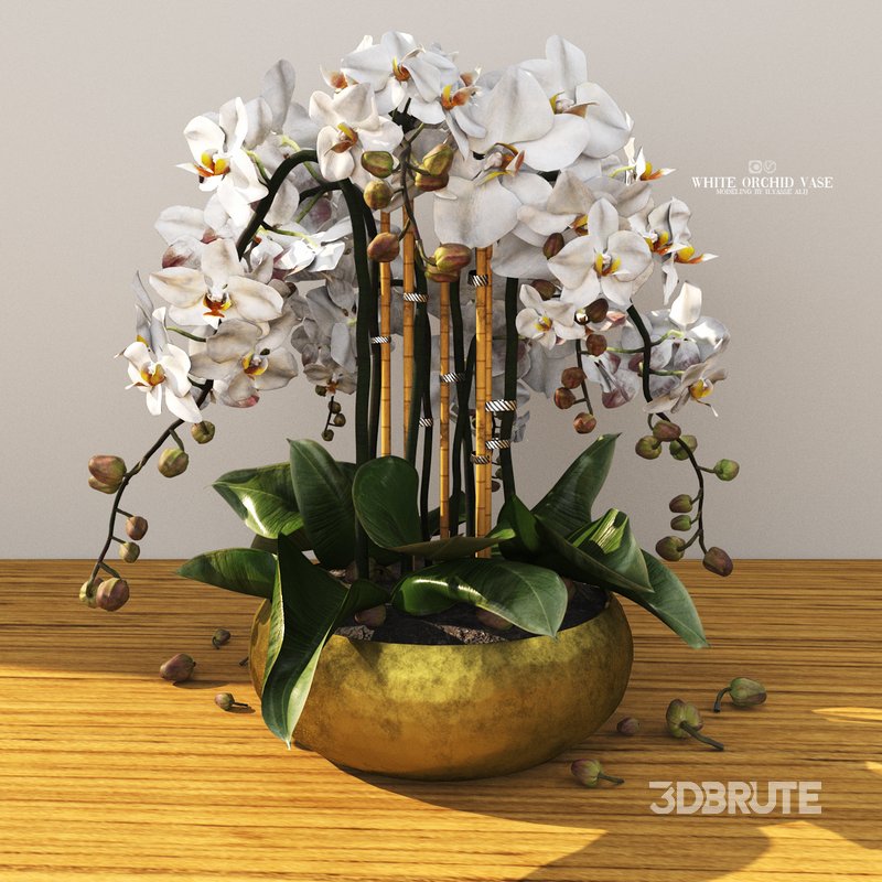 white orchid vase Image 2