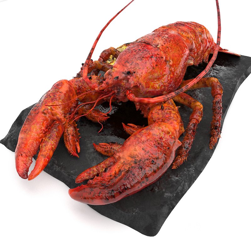 lobster set Image 4