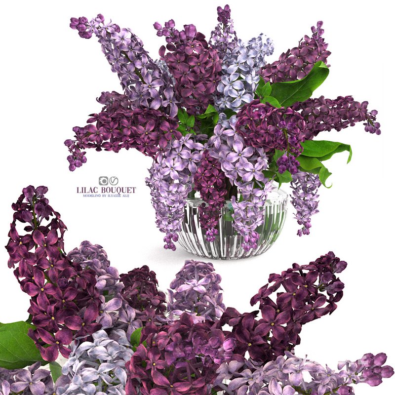 lilac bouquet Image 4
