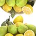 bowl of green and yellow lemons - Thumbnail 4
