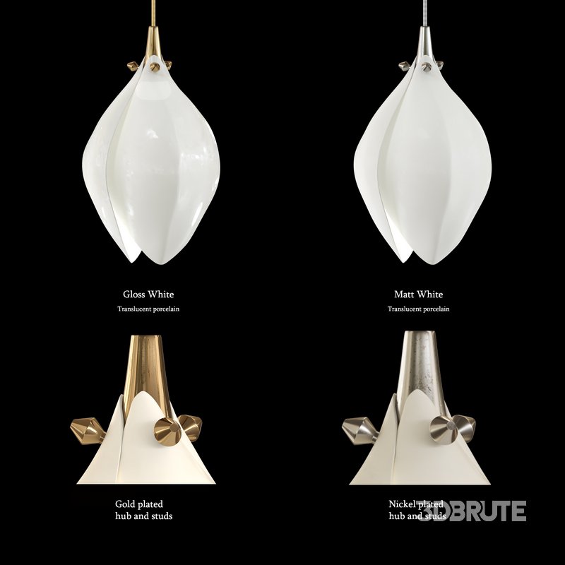 BLOOM LARGE CIRCLE 100 Image 2