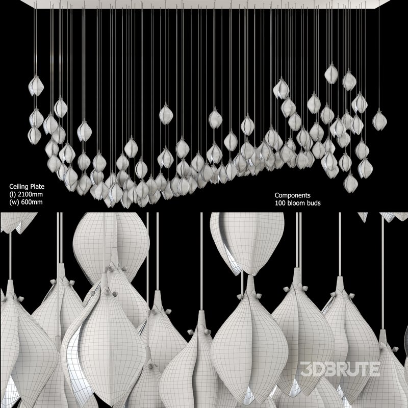 BLOOM LARGE CIRCLE 100 Image 3