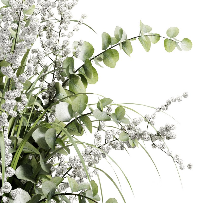 Indoor Plant 18 Image 3