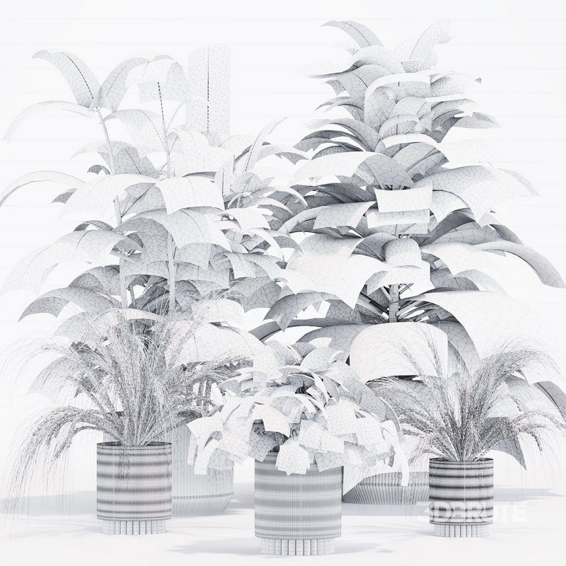 INDOOR PLANT SET 05 Image 4