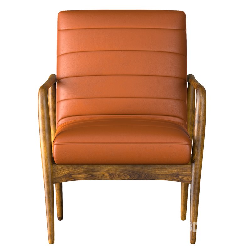 THE_LEATHER_ARMCHAIR_IN_VINTAGE_BLACK Image 1