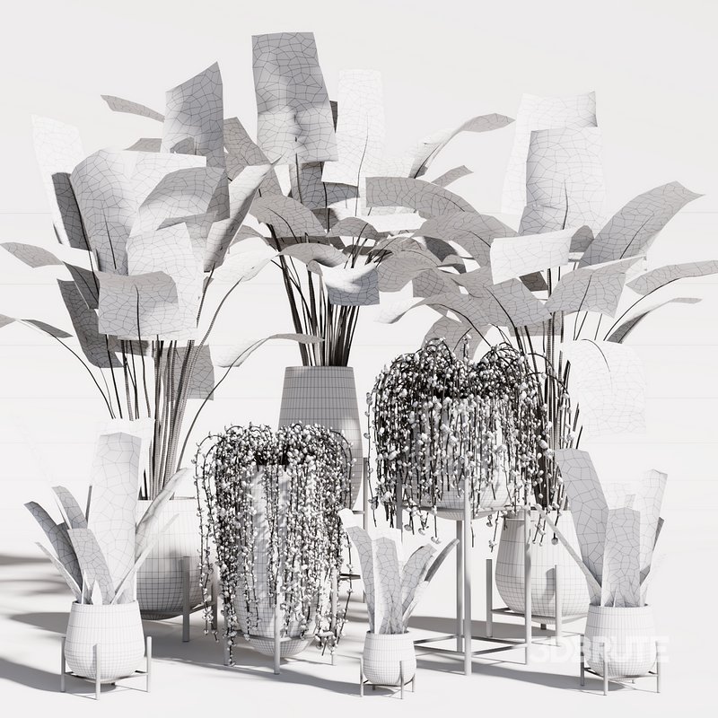 INDOOR PLANT SET 01 Image 4