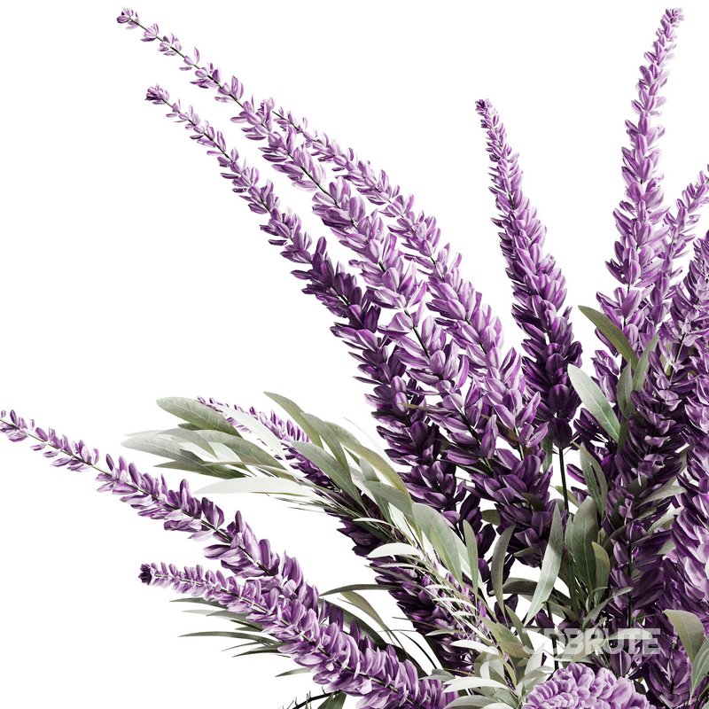 Indoor Plant 16 Image 3