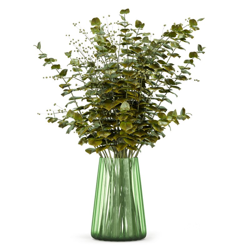 Plant Set 04 Image 1