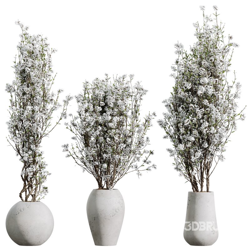 HQ HousePlants Tropez Planter Cherry Blossom Decorative Tree04 Image 1