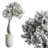 HQ HousePlants Tropez Planter Cherry Blossom Decorative Tree - Thumbnail 2