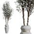 HQ HousePlants Tropez Planter Cherry Blossom Decorative Tree03 - Thumbnail 1