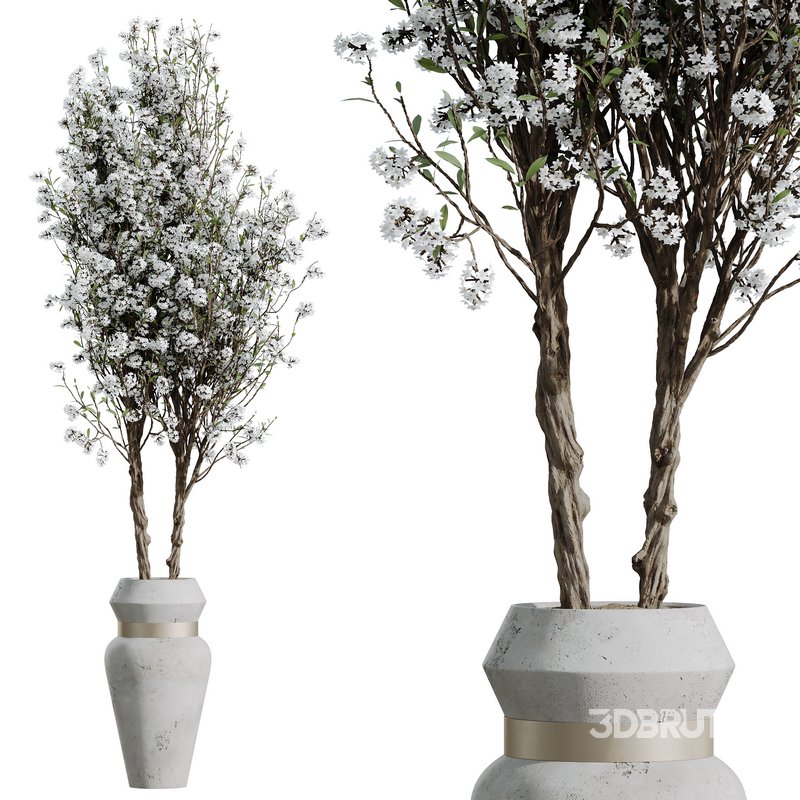 HQ HousePlants Tropez Planter Cherry Blossom Decorative Tree03 Image 1