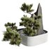 HQ HousePlants Interior Decorative Bonsai Mission Kalamata Leccino Olive Set11 - Thumbnail 1