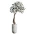 HQ HousePlants Tropez Planter Cherry Blossom Decorative Tree - Thumbnail 1