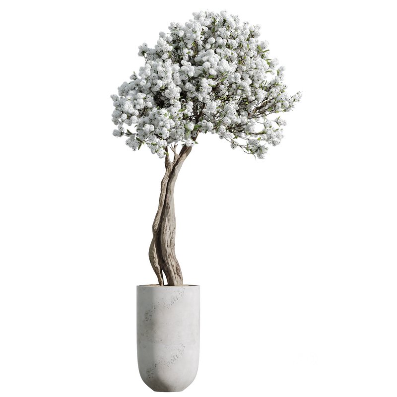 HQ HousePlants Tropez Planter Cherry Blossom Decorative Tree Image 1