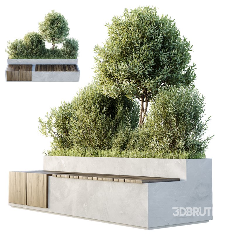 HQ Outdoor Plants Wilsonii Chemlali Olive Bench Set012 Image 1
