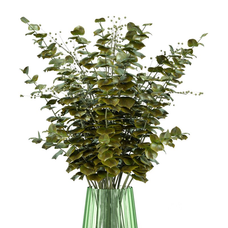 Plant Set 04 Image 3